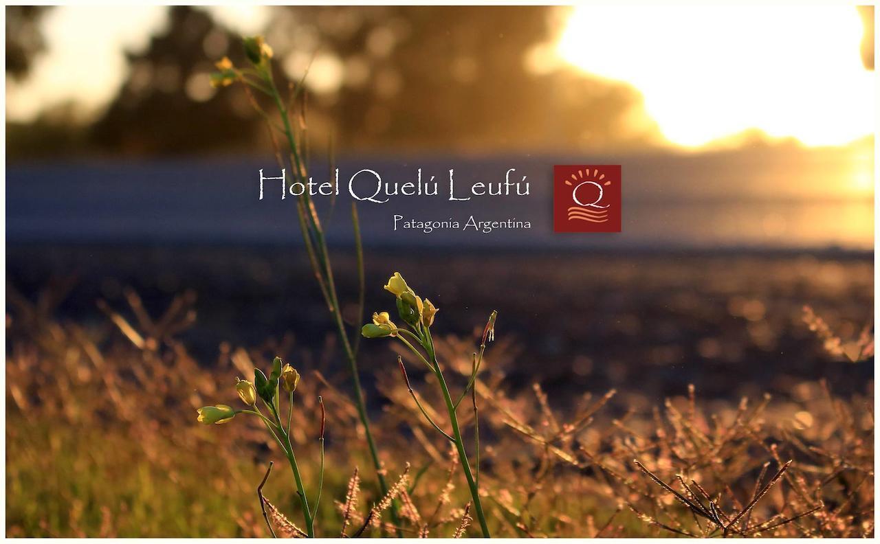 Hotel Quelu Leufu Río Colorado Eksteriør billede